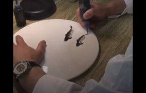 بالفيديو..لوحات فنية يصنعها الشيف الخارق باستخدام حلوى المربى!