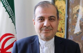 گفت‌وگوی مشاور ظریف با معاون وزیر خارجه دولت نجات ملی یمن