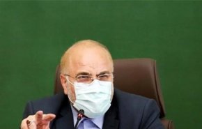 رئیس مجلس پیروزی مقاومت اسلامی در سرزمین‌های اشغالی را تبریک گفت