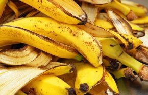 خبيرة تغذية توضّح فوائد قشر الموز
