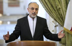 صالحی: دست ایران در مذاکرات وین از نظر فنی بسیار پر است
