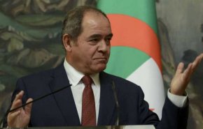  الجزائر تؤكد دعم جهود تحقيق الاستقرار الأمني والسياسي في ليبيا

