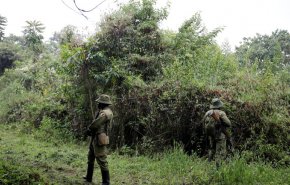 ارتفاع حصيلة هجومي الكونغو الديمقراطية إلى 50 قتيلا على الأقل
