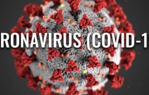 800 ألف في لبنان تلقوا اللقاح ضد فيروس كورونا