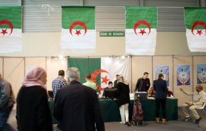 پایان کار شعب اخذ رأی در الجزایر و آغاز شمارش آرا/ مشارکت در انتخابات به 30 درصد رسید