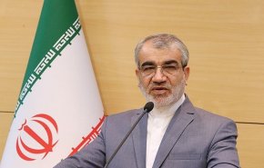 کدخدایی: رای هزاران ایرانی مقیم خارج، پاسخی محکم به مخالفان مردم بود