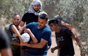 3 شهداء وإصابة 7 مستوطنين في 112 نقطة مواجهة بالضفة