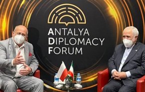 وزير الخارجية الايراني يلتقي نظيريه النمساوي والتركي في انطاليا