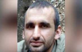 کشته شدن عضو ارشد «پ‌ک‌ک» توسط ماموران امنیتی ترکیه در شمال عراق
