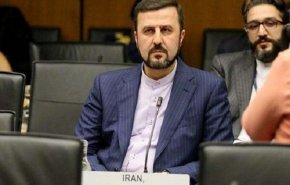 غريب آبادي: ايران متعهدة بتنفيذ التزاماتها الوقائية لا أكثر ولا أقل
