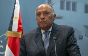 الخارجية المصرية: طلبنا من مجلس الأمن عقد جلسة حول 