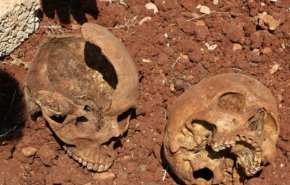 السودان.. العثور على 76 جمجمة بمقابر جماعية في دارفور