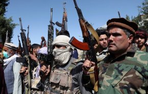مقام افغان: در چهار روز گذشته حدود هزار نیروی طالبان کشته شدند