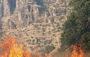آتش‌سوزی گسترده در جنگل‌های پاوه