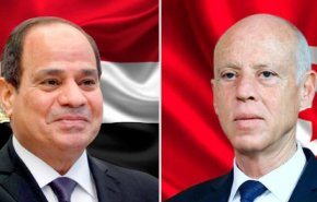 مصر تؤكد دعمها لتونس