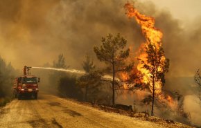 تركيا تكافح حرائق الغابات لليوم الثامن وتسيطر على حريق قرب محطة كهرباء‎