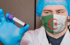 الجزائر.. اللجنة الوزارية للفتوى تدعو إلى تجنب الشائعات حول كورونا