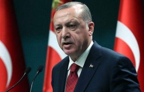 أردوغان يدعو إلى عدم استغلال حرائق الغابات في تركيا لـ