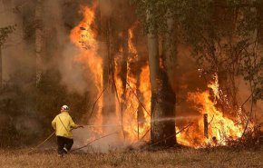 إخلاء حوالي ألفي شخص من منازلهم في كاليفورنيا بسبب حريق
