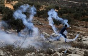 جريمة إعدام 'دويكات' رد إسرائيلي رسمي على زيارة الوفد الأوروبي لـ'بيتا'