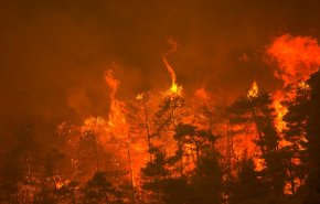 شاهد..آلاف اليونانيين يفرّون من جزيرة إيفيا مع احتدام حرائق الغابات