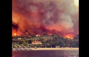 بالفيديو.. حرائق الغابات تقض مضاجع اليونان