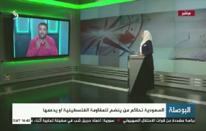 السعودية تحاكم من ينضم أو يدعم المقاومة الفلسطينية