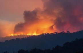 ارتفاع قتلى حرائق الغابات في الجزائر إلى 42
