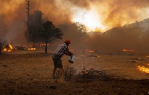 الرئيس الجزائري يعلن الحداد 3 أيام على أرواح ضحايا الحرائق
