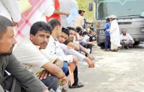 مطالبات بإنهاء حملة طرد اليمنيين العاملين في السعودية