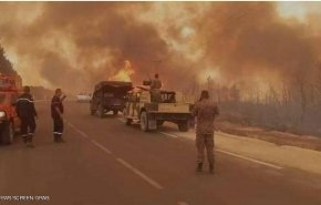 بعد الجزائر.. حرائق الغابات تتمدد في تونس