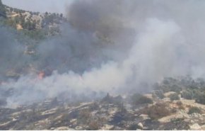 حرائق كبيرة في جبال القدس وإخلاء للمستوطنين