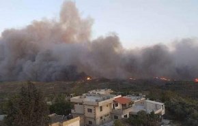 أضرار تجاوزت 200 دونم حصيلة نحو 12 حريقاً باللاذقية السورية