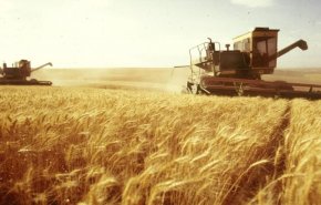 وزير الزراعة السوري يكشف عقبات تهدد القطاع الزراعي
