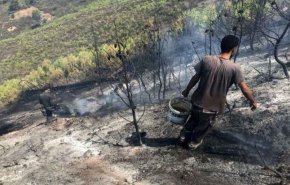 آتش‌سوزی‌ جنگل‌های الجزایر پس از کشته شدن ۶۹ نفر مهار شد