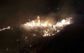 الاحتلال الإسرائيلي يفتعل حريقا في أحراج بلدة بئر عجم السورية