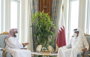 أمير قطر يستقبل وفداً برئاسة مستشار الأمن الوطني بالإمارات
