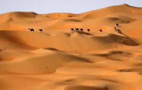 دراسة تكشف أن شبه الجزيرة العربية كانت مساحات خضراء قبل 400 ألف سنة
