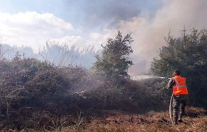 فرق اطفاء حمص تخمد حريقا ثانياً الذي امتد من الأراضي اللبنانية