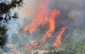 الحرائق تتمدد في احراج رحبة وجبرايل وايلات شمال لبنان