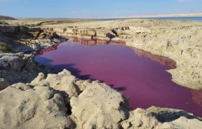 شاهد/بركة مياه في البحر الميت تتحول إلى الوردي والسبب..
