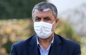 اسلامی رئیس سازمان انرژی وارد وین شد