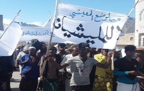 تظاهرات حاشدة في سقطرى اليمنية ضد الغلاء وتردي الخدمات