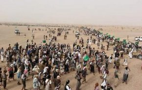 اليمن.. ترحيب قبلي واسع بالجيش واللجان الشعبية في شبوة