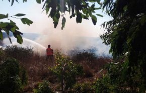 إخماد حريق في الأراضي الزراعية بريف حمص