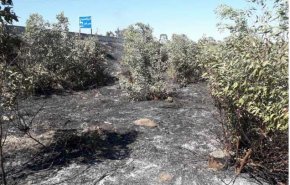 إخماد حريق على الطريق الدولي حمص - طرطوس