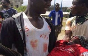 ۸ شهید در حمله پلیس به عزاداران اربعین در نیجریه