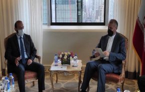 وزیر خارجه ارمنستان با امیرعبداللهیان دیدار کرد