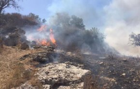 مستوطنون يشعلون النيران في أراضي المواطنين في بورين