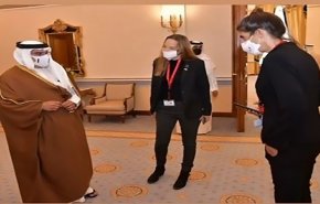 بالفيديو.. مسؤولة صهيونية تهين ولي عهد البحرين